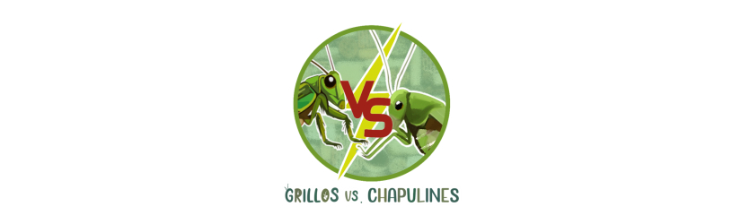Proyecto Grillos vs. Chapulines