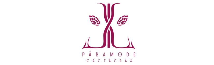 Proyecto PÁRAMO DE CACTÁCEAS
