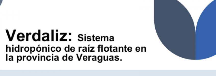 Verdaliz