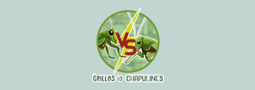 Grillos vs. Chapulines